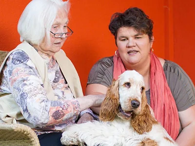 AWO-Sozialzentrum Jung und Alt in Würzburg, Bayern photo 3