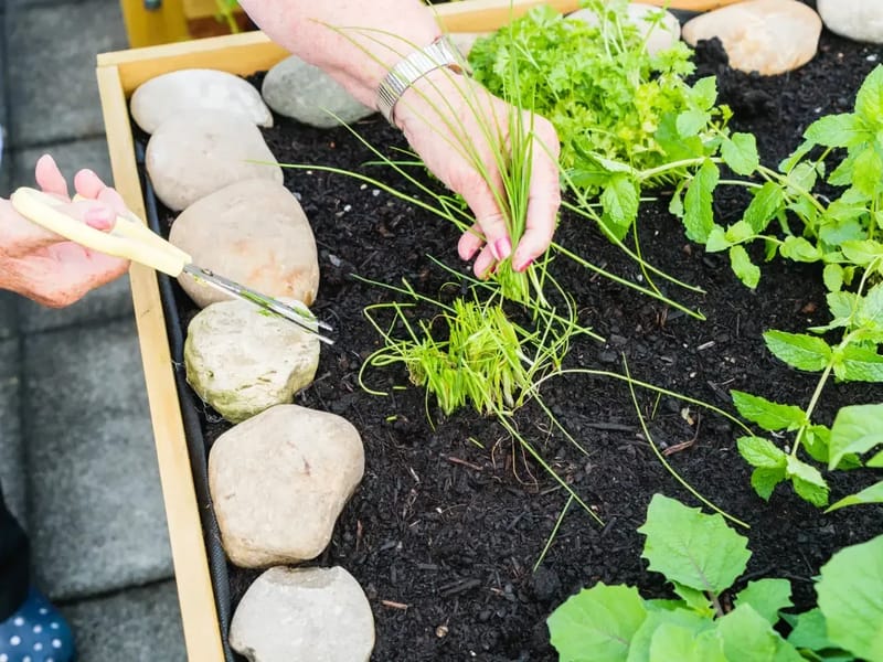 AWO-Sozialzentrum Jung und Alt in Würzburg, Bayern photo 1