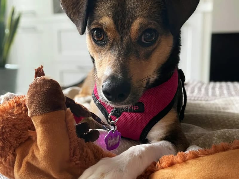 Best Care JS Limited - In-Home Care in Barking, England photo 1