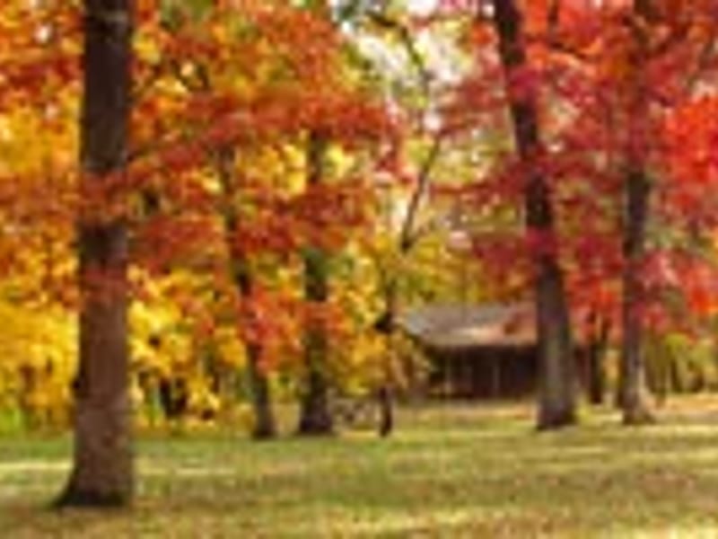 Channahon Home Dialysis - Dialysis in Channahon, IL photo 3