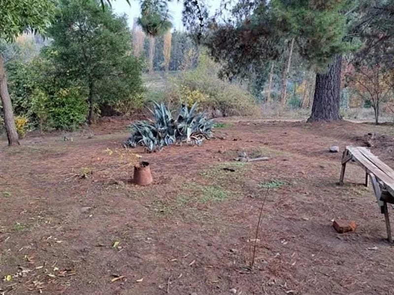Casa Del Adulto Mayor, Cumpeo - Centro de Día in Río Claro, Provincia de Talca photo 2