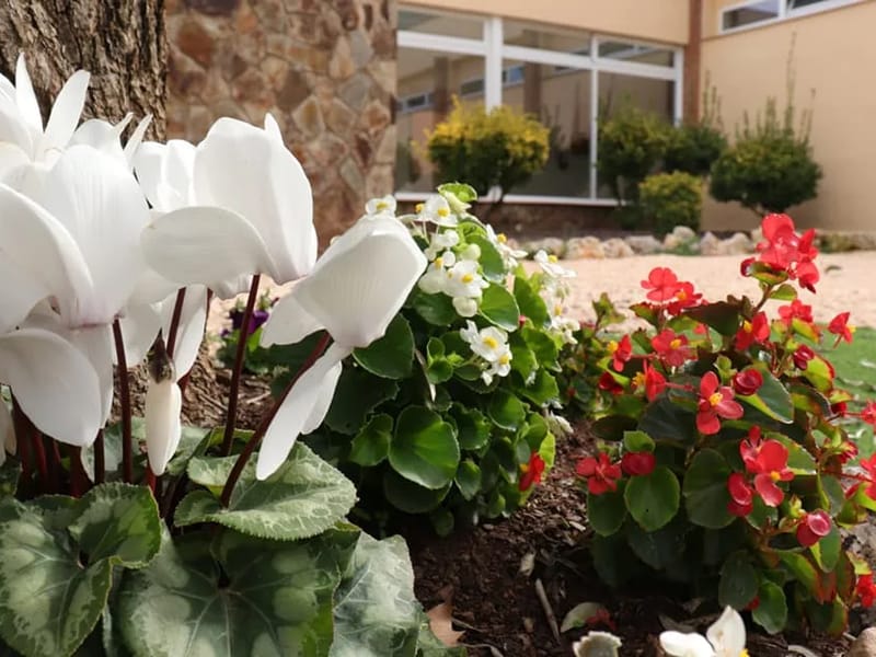 Centre de Dia Jardins de Castellarnau - Centro de Día in Sabadell, Cataluña photo 1