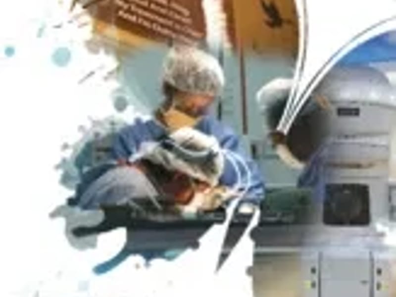 ASIAN AMERICAN MEDICAL SERVICES - Home Health Nursing in Burlingame, CA photo 2