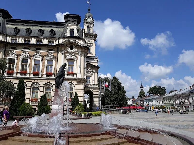 Województwo Małopolskie - Dom pomocy społecznej in Nowy Sącz, Nowy Sącz photo 8