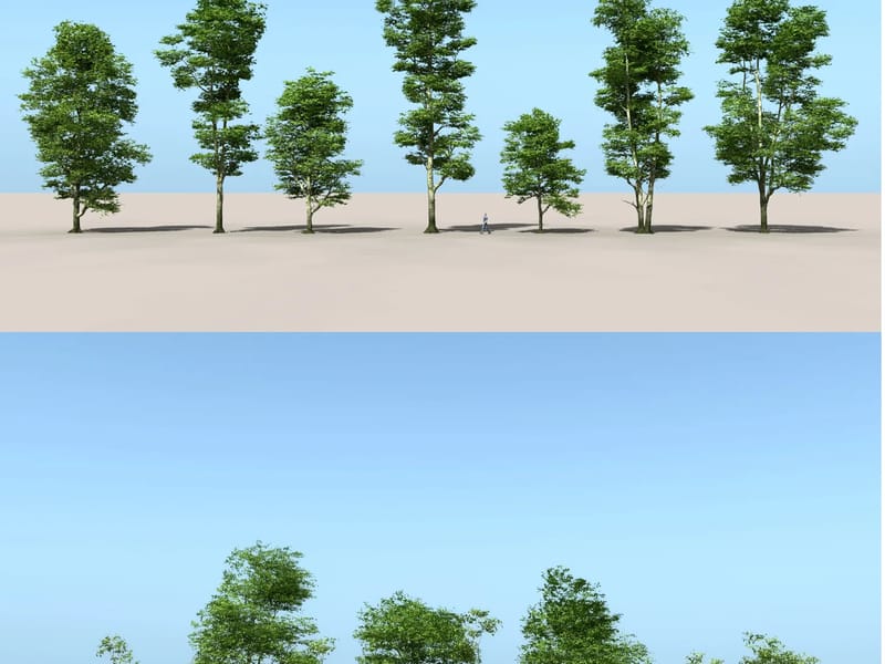 Beech Trees - Assisted Living in Woking, England photo 3