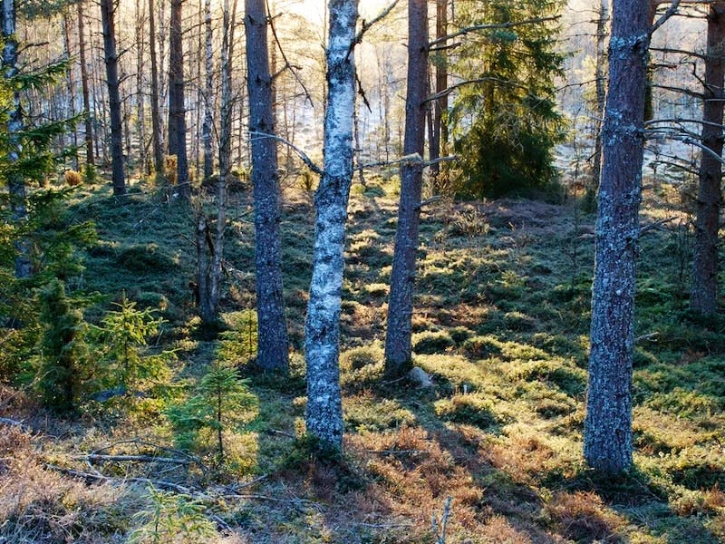 Norrgården - Äldreboende in Vetlanda, Jonkoping County photo 1