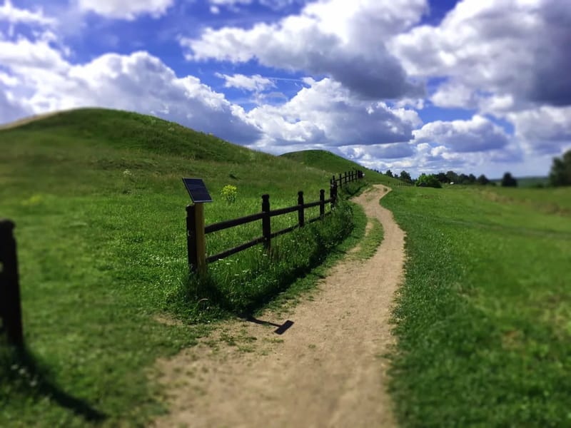 Granbommen - Äldreboende in Uppsala, Uppsala län photo 3
