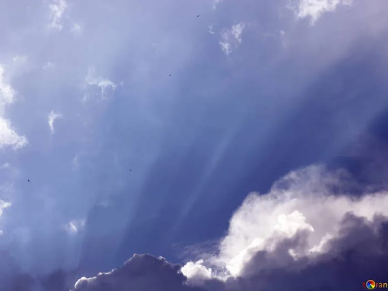 A RAY OF SUNSHINE - Home Health Nursing in Simpsonville, SC photo 3