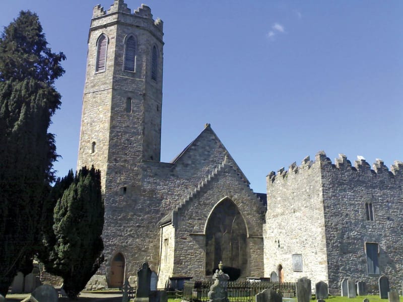 St. Anthony's Unit - Nursing Home in Clonmel, Tipperary photo 2