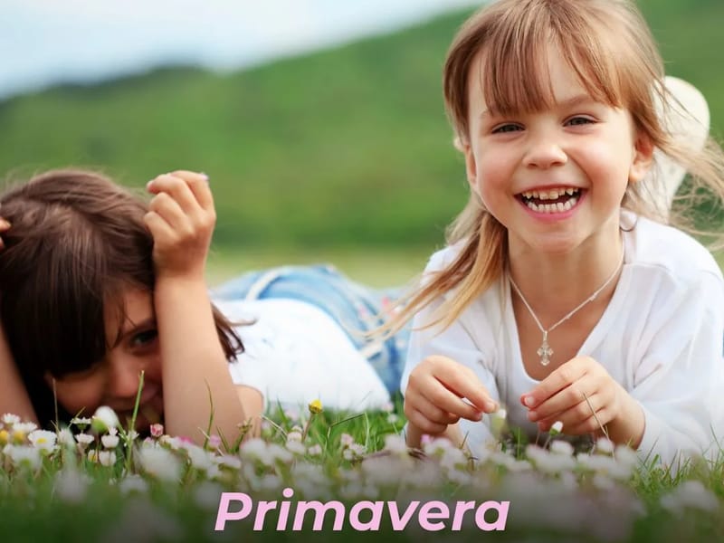 PSICOLOGIA PARIZOTTO - Cuidado Domiciliar in Primavera Do Leste, MT photo 1