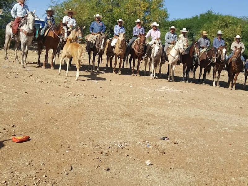 Estancia De Adultos Mayores Plateros - Vida Asistida in Fresnillo, Zacatecas photo 7