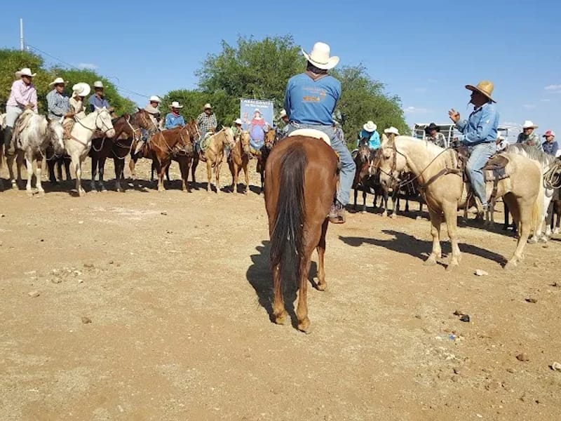 Estancia De Adultos Mayores Plateros - Vida Asistida in Fresnillo, Zacatecas photo 2