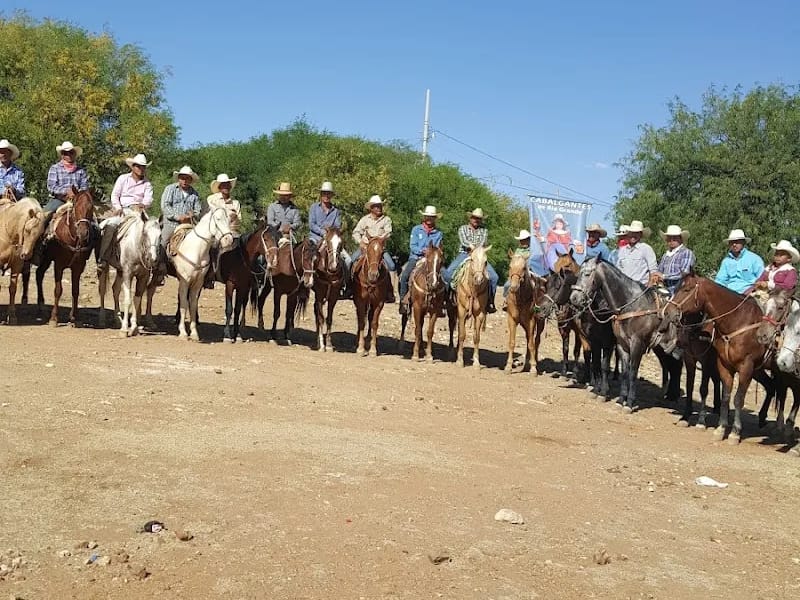 Estancia De Adultos Mayores Plateros - Vida Asistida in Fresnillo, Zacatecas photo 8