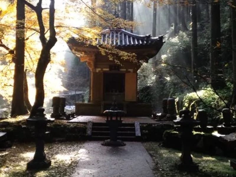 ひかり苑 - 有料老人ホーム in 永平寺町, 福井県 photo 3