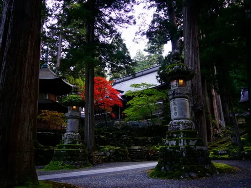 ひかり苑 - 有料老人ホーム in 永平寺町, 福井県 photo 1