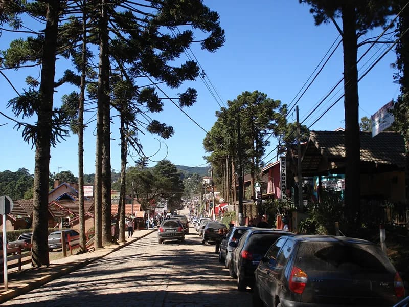 Monte Verde - Vida Asistida in Osorno, Región de Los Lagos photo 1
