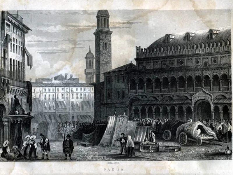 C.D. - C.R.I. 1864 - Centro Diurno in Pisa, Toscana photo 2