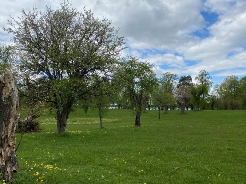 Stångågården - Äldreboende in Kinda, Östergötlands län photo 1