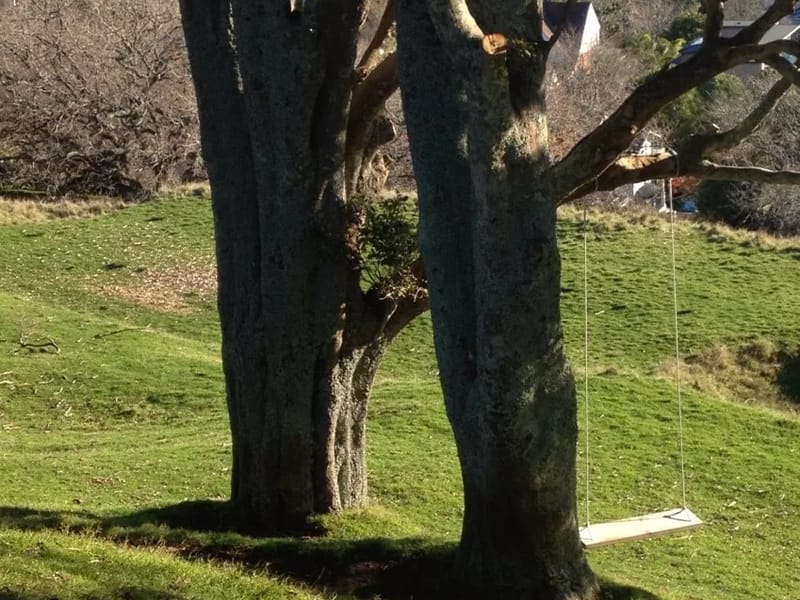 Epsom South Retirement Home - Assisted Living in Auckland, Auckland District Health Board photo 4