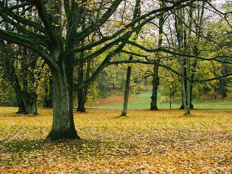 Haga Park - Äldreboende in Båstad, Skåne län photo 2