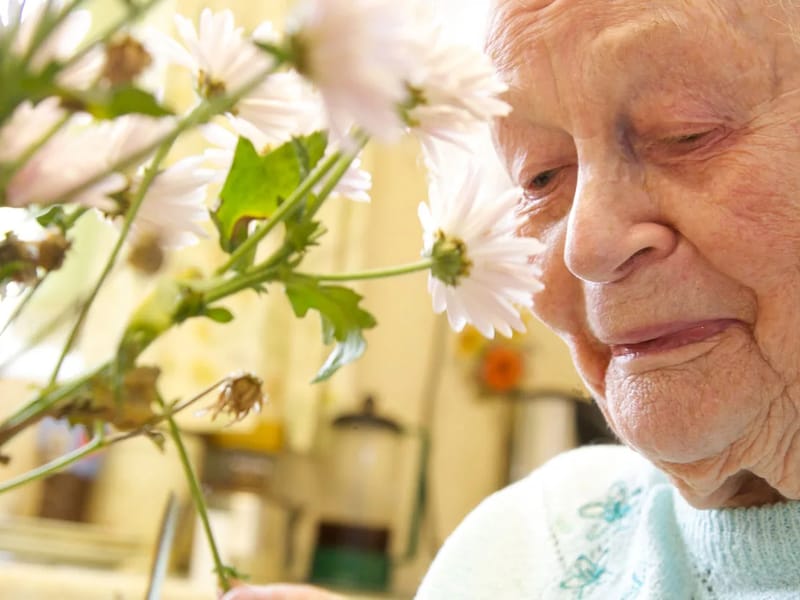 Lakes Nursing Home - Nursing Home in Killaloe, Clare photo 2