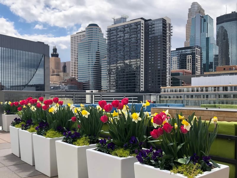 Altegra Health Connections, LLC - Home Health Nursing in Minneapolis, MN photo 1