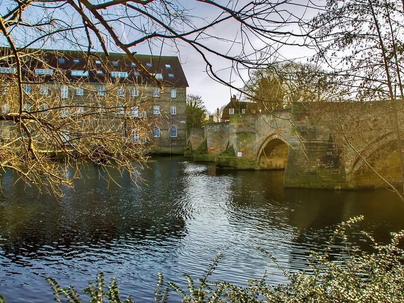 Home Instead Huntingdon - In-Home Care in Huntingdon, England photo 2