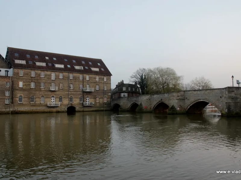 Home Instead Huntingdon - In-Home Care in Huntingdon, England photo 1