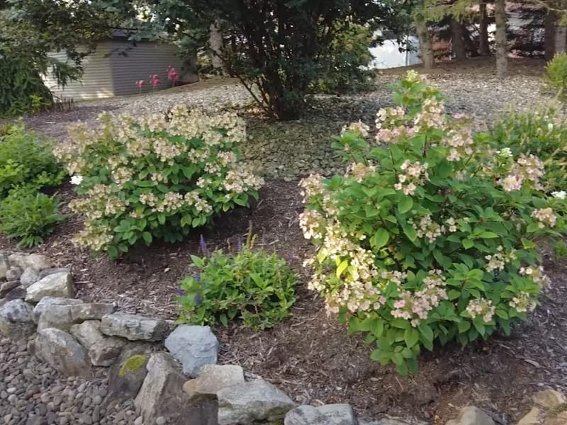 Oakcreek - Assisted Living in Castro Valley, CA photo 1