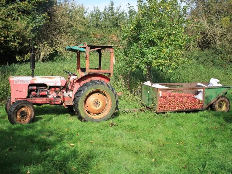 Walsingham Support - Pound Farm - Assisted Living in Ross-On-Wye, England photo 2