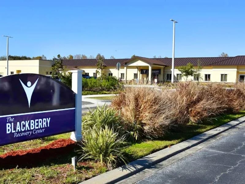 Blackberry Center - Oglethorpe of Orlando - Hospital in Saint Cloud, FL photo 2