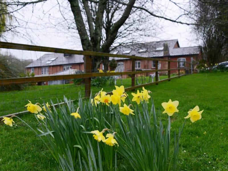 Langford Park - Nursing Home in Exeter, England photo 5