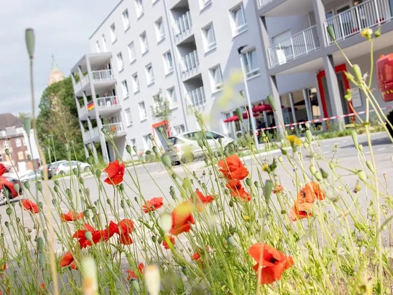 DRK Seniorenbetreuung Duisburg   Marien Campus - Pflegeheim in Duisburg, Nordrhein-Westfalen photo 2
