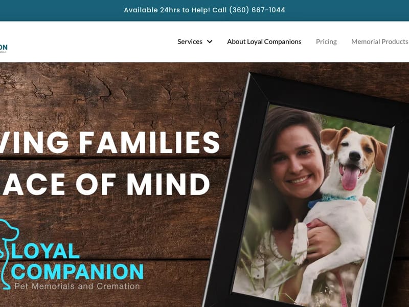 Loyal Companion Care Limited in Bedford, England photo 3