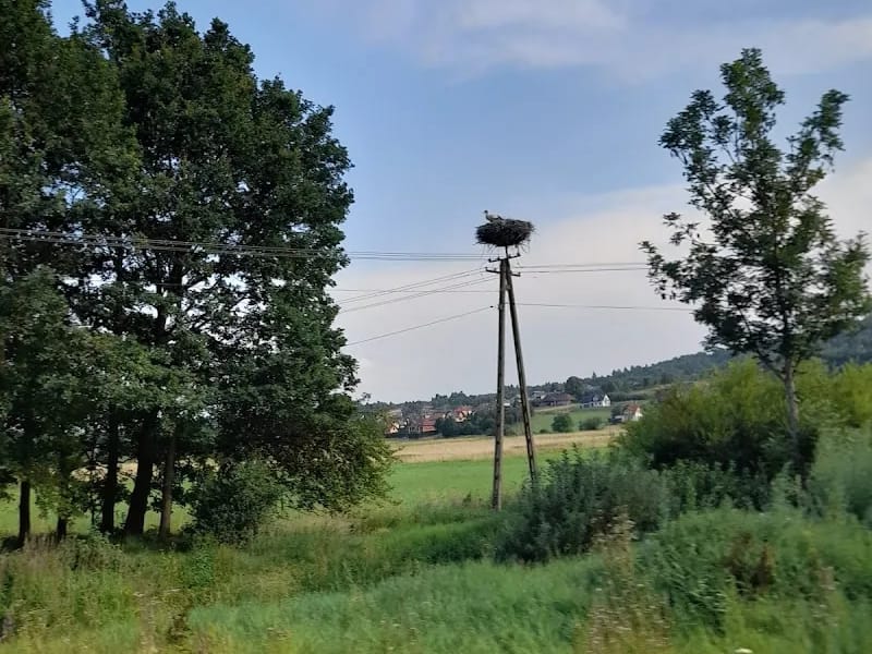 Rada Gminy Miejsce Piastowe - Pielęgniarstwo domowe in Miejsce Piastowe, Miejsce Piastowe photo 7