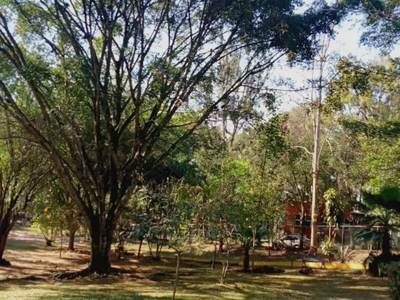 ESTANCIA PARA ADULTOS MAYORES NUESTRAS RAICES - Vida Asistida in Córdoba, Veracruz photo 5
