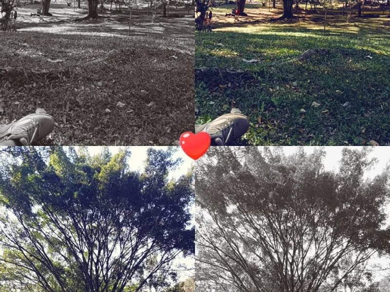 ESTANCIA PARA ADULTOS MAYORES NUESTRAS RAICES - Vida Asistida in Córdoba, Veracruz photo 9
