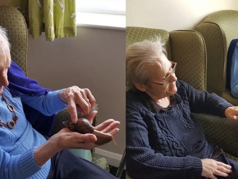 Deangate Care Home - Nursing Home in Barnsley, England photo 3