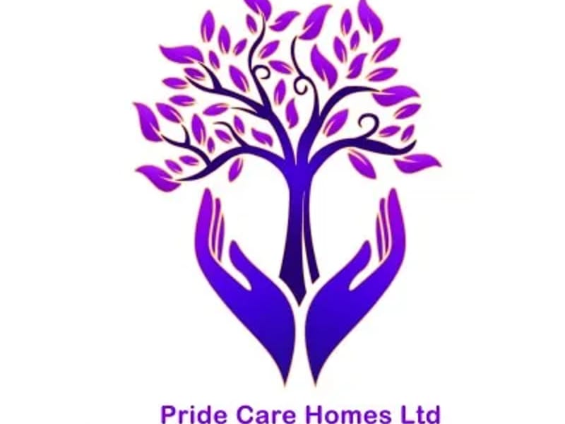The Grand Cedars Nursing Home in Walsall, England photo 1