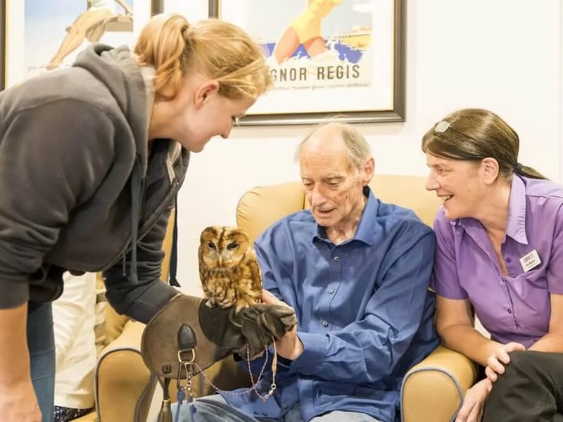 Loidis Care Services (Ferndown) - In-Home Care in Ferndown, England photo 4