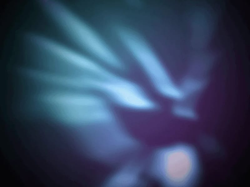 Affectionate Transition Agency - Home Health Nursing in Aurora, CO photo 1