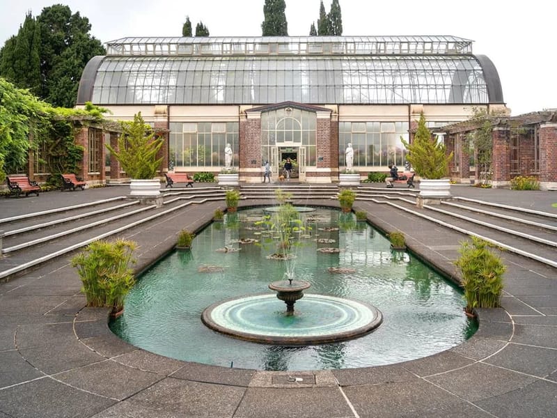 The Orchards - Nursing Home in Auckland, Waitemata District Health Board photo 2