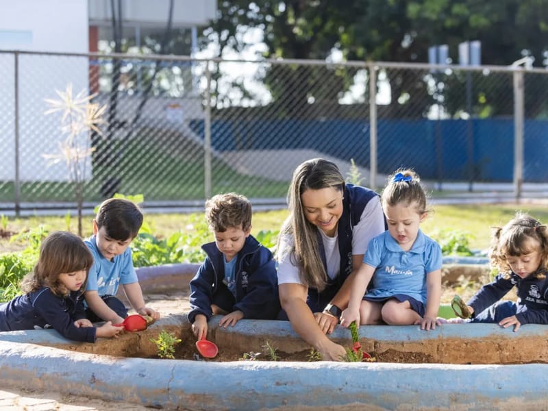 IMPULSOS DESENVOLVIMENTO INFANTIL - Cuidado Domiciliar in Cuiabá, MT photo 2