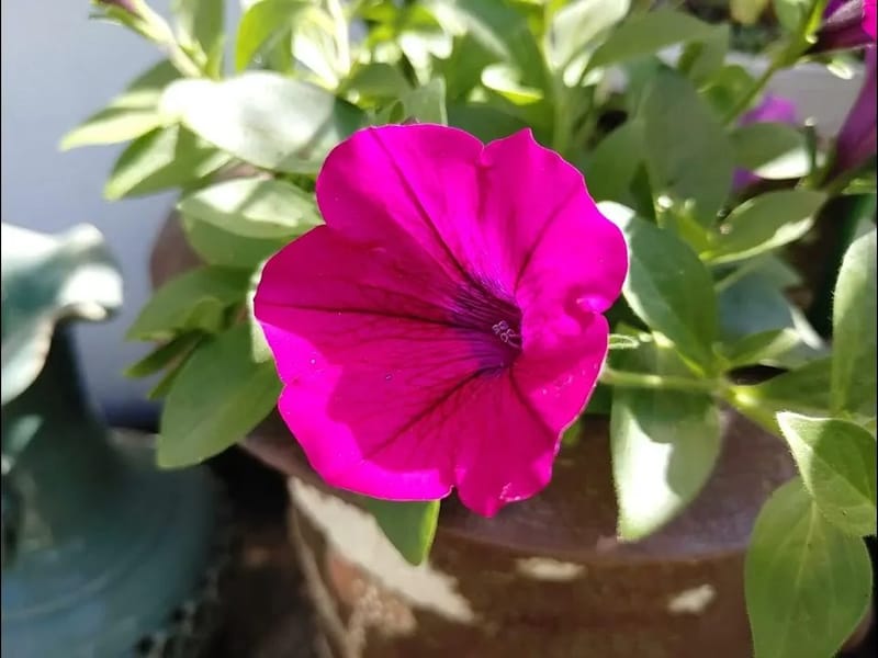 (고양)서울요양원 in 고양시, 경기도 photo 2