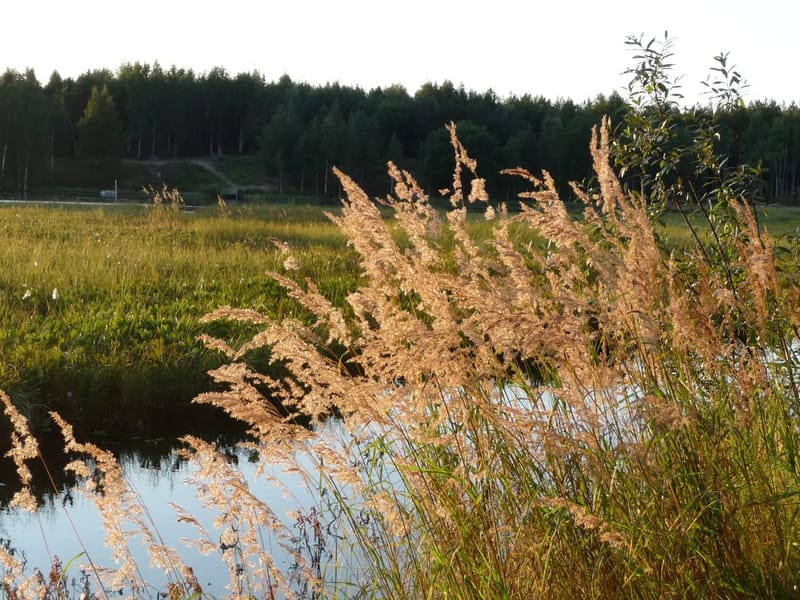 Bergnäset ht - Serviceboende in Luleå, Norrbottens län photo 1