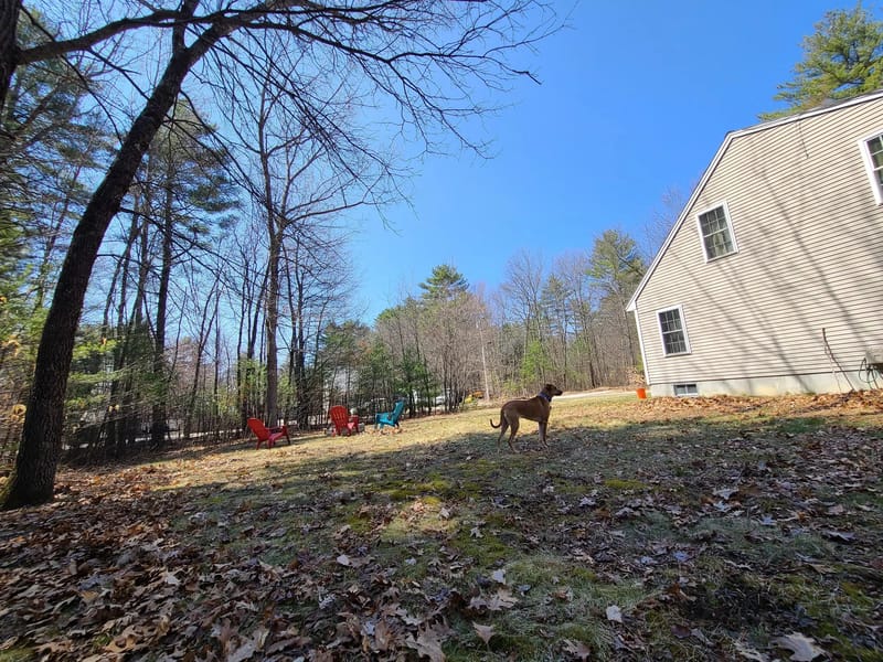 Collins Pond - Assisted Living in Windham Center, ME photo 2