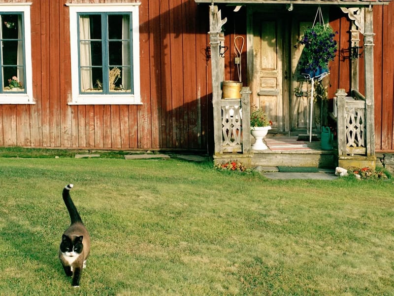 Daljunkaregården - Serviceboende in Falun, Dalarnas län photo 2