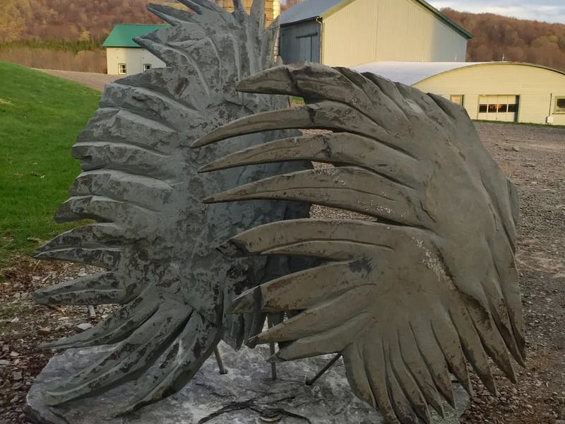 Angels In Waiting - Assisted Living in Milltown, WI photo 2