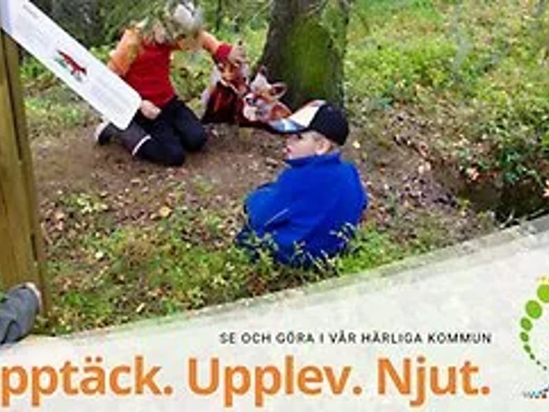 Hotagsfjärden - Äldreboende in Krokom, Jämtlands län photo 1