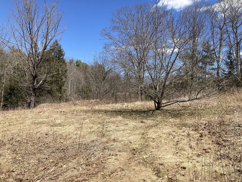 249 Libby Avenue - Assisted Living in Gorham, ME photo 2